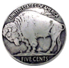 Buffalo Nickel Concho